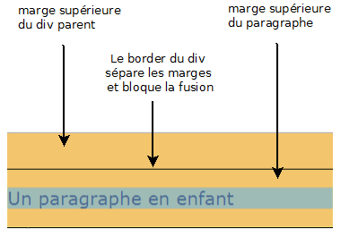 Blocage de la fusion des marges entre parent et enfant