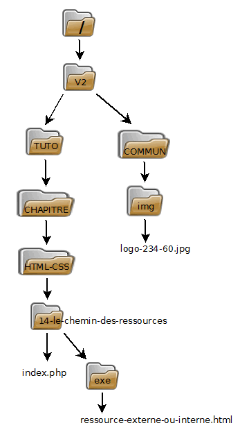 Arborecence du site