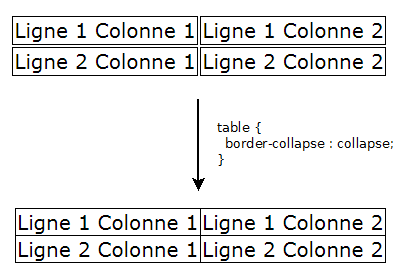 Tableau avec border collapse