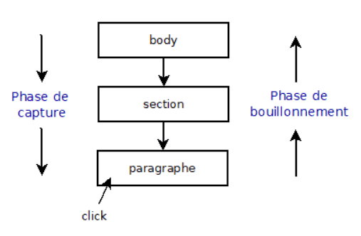 Phases de capture et de bouillonnement