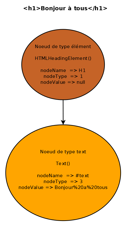 Différent type de nœud